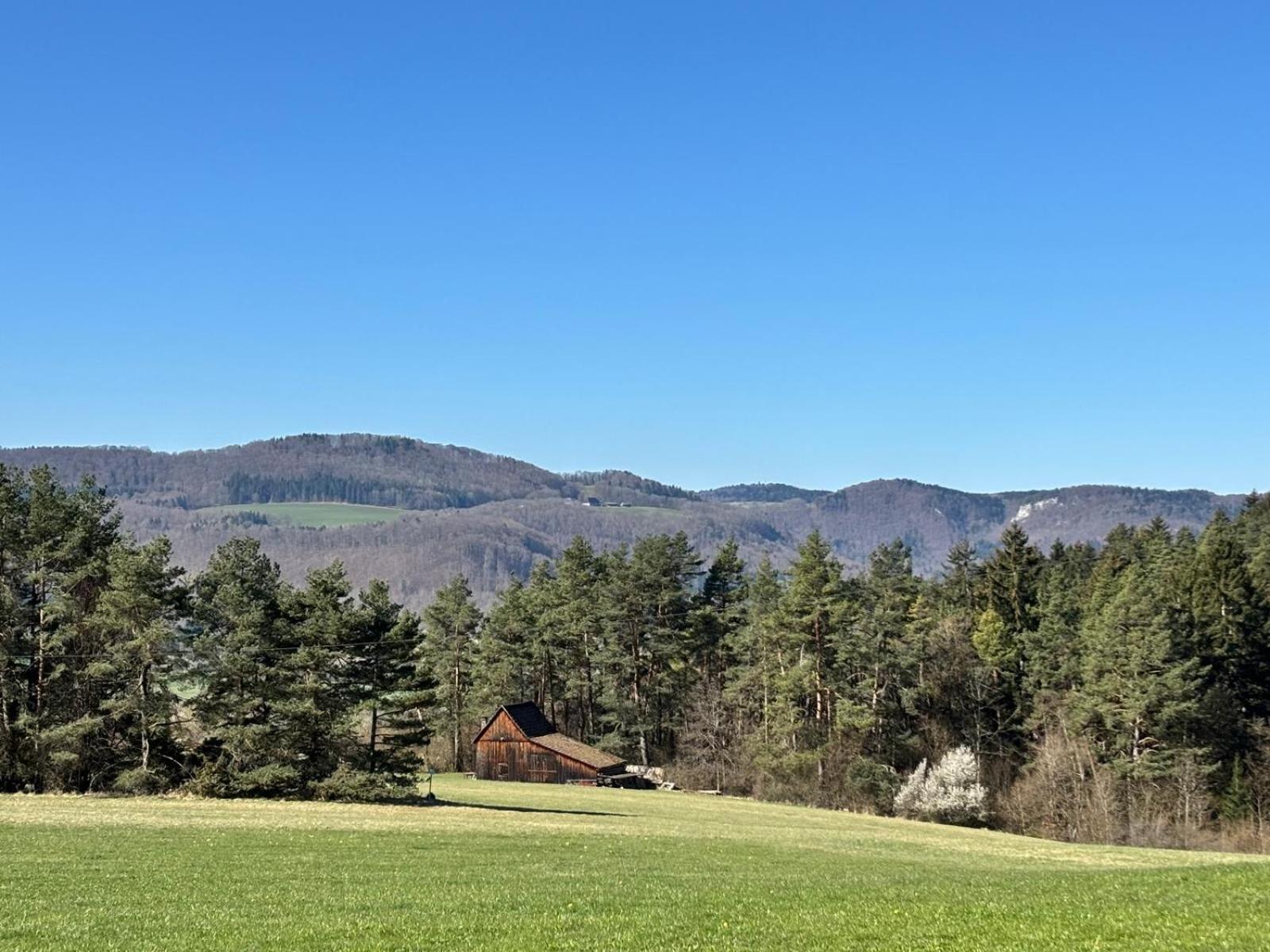 Atemberaubender Ausblick Mit Premium-Wanderwegen Vor Der Haustuer Leilighet Albstadt Eksteriør bilde