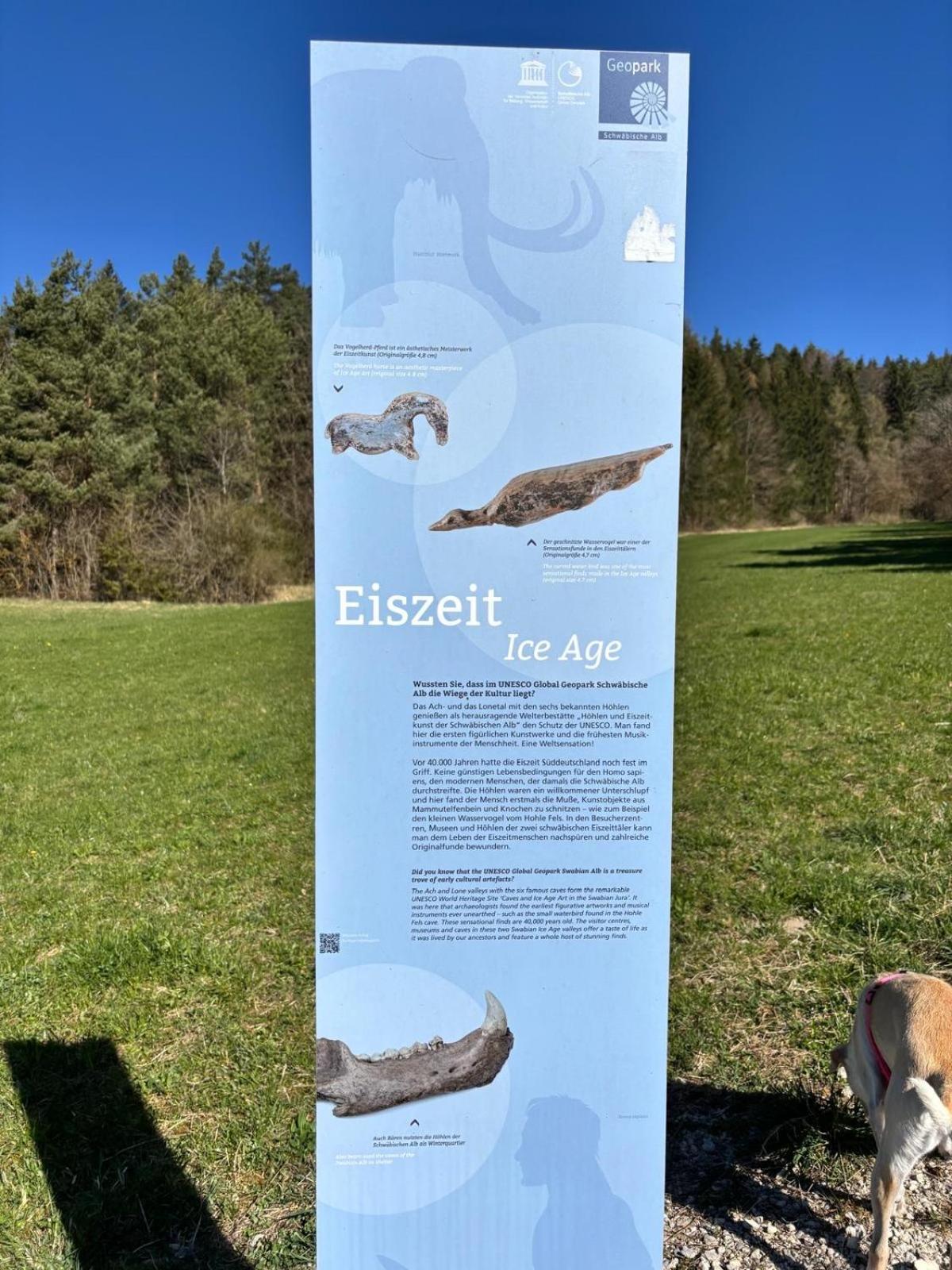 Atemberaubender Ausblick Mit Premium-Wanderwegen Vor Der Haustuer Leilighet Albstadt Eksteriør bilde